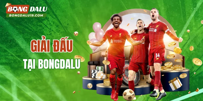 Các giải đấu được cập nhật trên BONGDALU