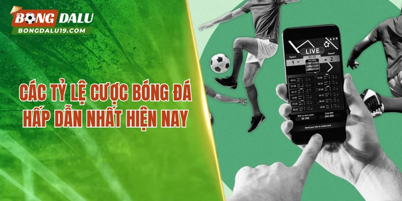 Các tỷ lệ cược bóng đá hấp dẫn nhất hiện nay