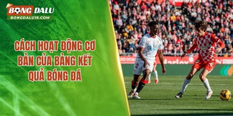 Cách hoạt động cơ bản của bảng kết quả bóng đá