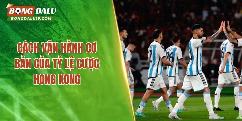 Cách vận hành cơ bản của tỷ lệ cược Hong Kong