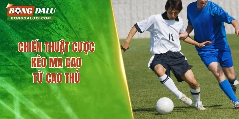 Chiến thuật cược kèo ma cao từ cao thủ