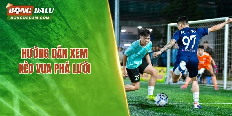 Hướng dẫn xem kèo vua phá lưới