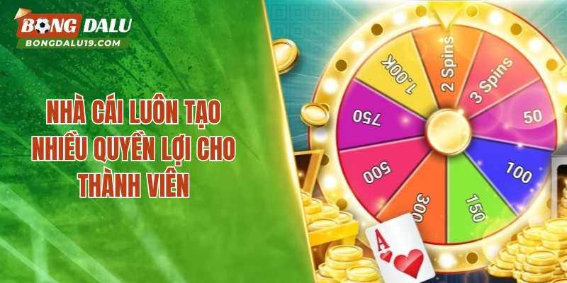 Nhà cái luôn tạo nhiều quyền lợi cho thành viên