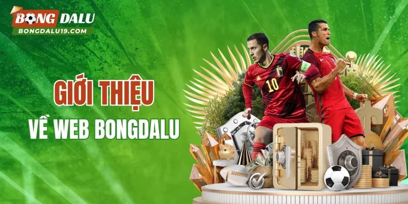 Những điều cần biết về BONGDAULU