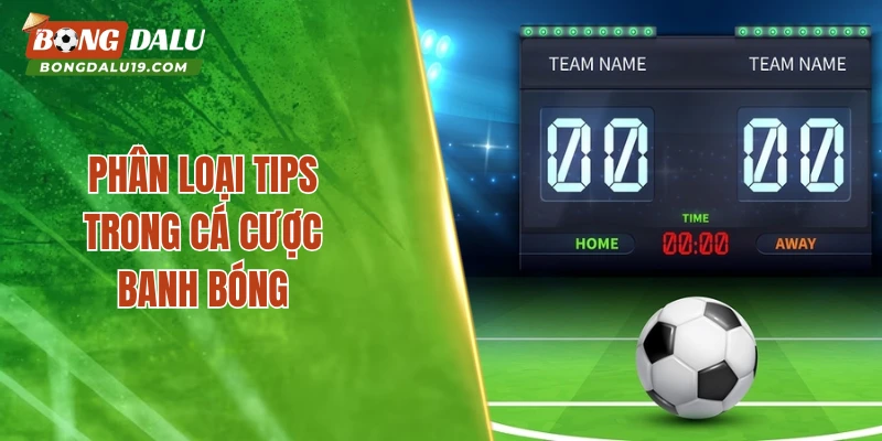 Phân loại tips trong cá cược banh bóng