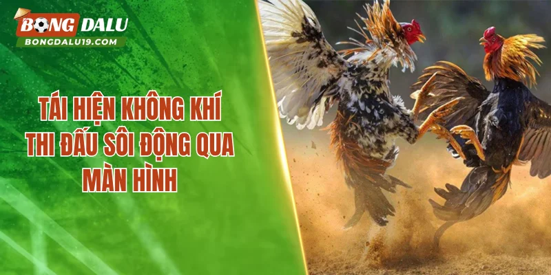 Tái hiện không khí thi đấu sôi động qua màn hình