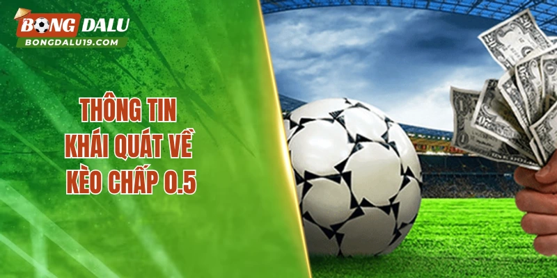 Thông tin khái quát về kèo chấp 0.5